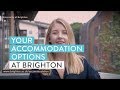 Student accommodation options  university of brighton