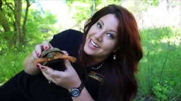 Meet Jimmy Irwin, the Box Turtle!