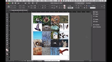 Indesign Image grid options