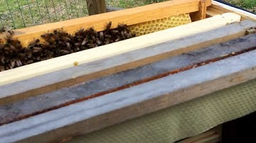 Checkerboarding the Beehives for Spring Buildup