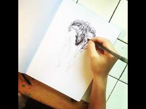 Ballpoint Pen Foxy Drawing Time Lapse