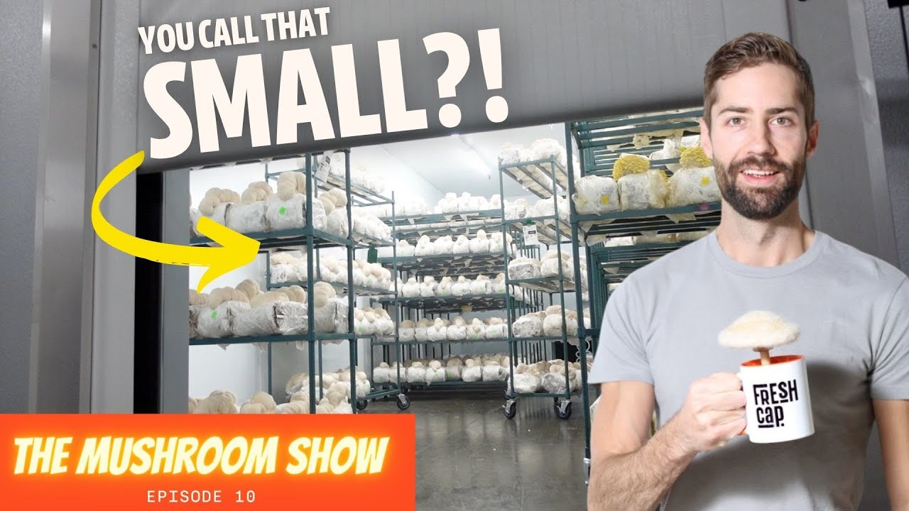 Inside a HUGE Mushroom Farm that's Disrupting the Produce Market (The Mushroom Show Ep 10)