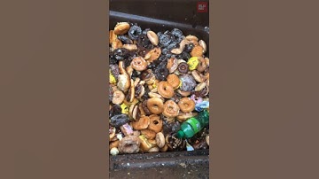 Perilaku Mubazir Sudah Biasa di Amerika‼️