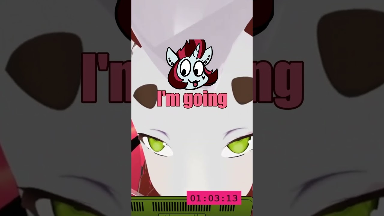 Skuttz Found Your Doorbell Camera 