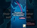 Iran’s 4,000km Strike: The Space Program Weaponized