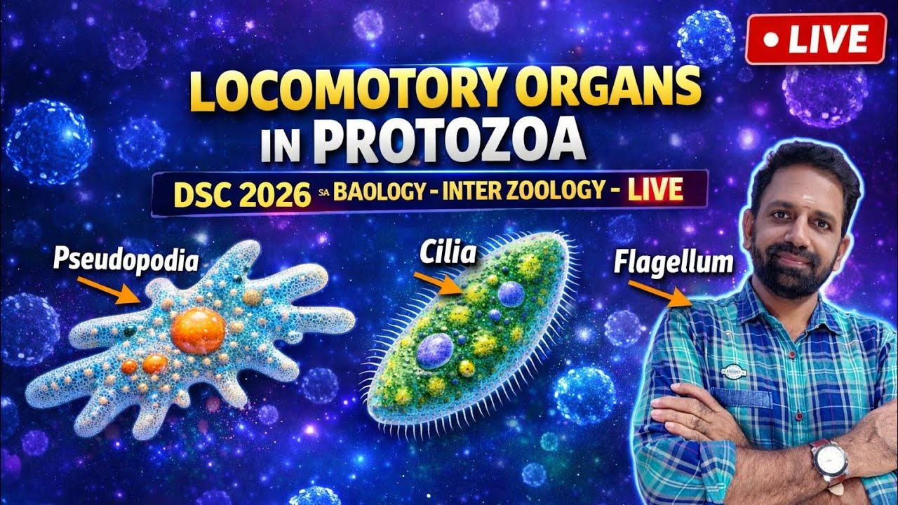 🎯TET and DSC,2025 -26 🎯