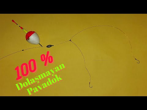 Video: Qarmaqlı ördəkə nə oldu?