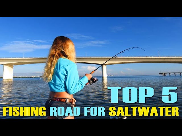 The Best Saltwater Fishing Rod (TOP 5 REVIEWS) 