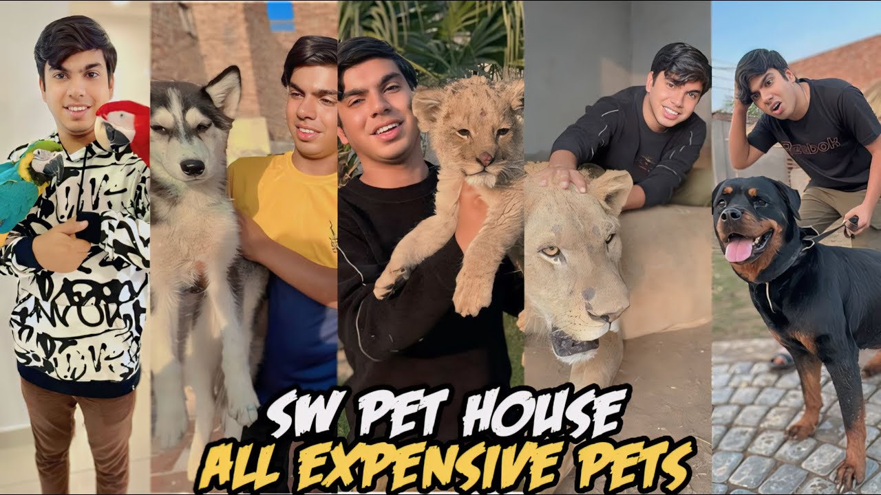 SW Pet House Expensive Pets Top 5 Pakistani Youtubers 2024 vlog sw-pet-house-expensive-pets-top-5-pakistani-youtubers-2024-vlog