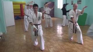 Karate #MannequinChallenge