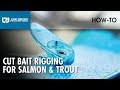 Luhr Jensen Cut Bait Rigging for Salmon & Trout | Luhr Jensen Fishing Tips