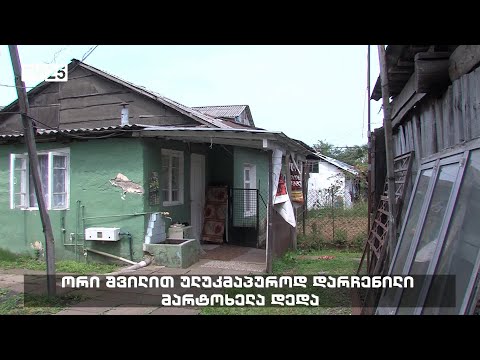 ორი შვილით ულუკმაპუროდ დარჩენილი მარტოხელა დედა