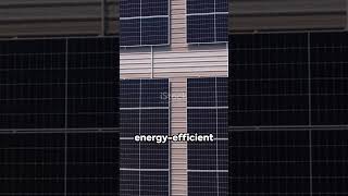 Why Ozone Elevators is Best#elevator #liftelevator #elevatortech #electrical #elevatorworld
