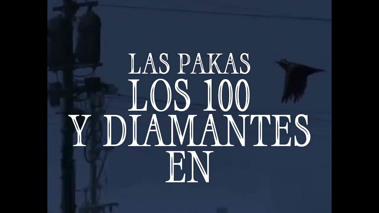 $pirit - CASE (Visualizer)