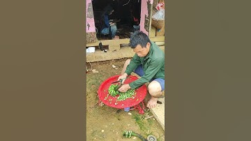 chuối rừng này phơi khô rồi ngâm rượu uống thì quá OK