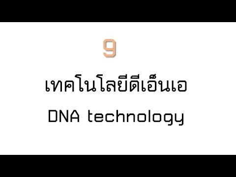 9 เทคโนโลยีดีเอ็นเอ(วิทยาศาสตร์ชีวภาพ ม.4)