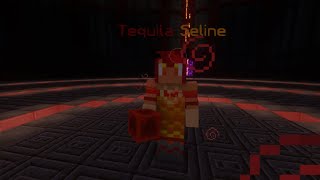 Minecraft MythicMobs Boss Showcase - Boss Arena 3 Tequila Seline