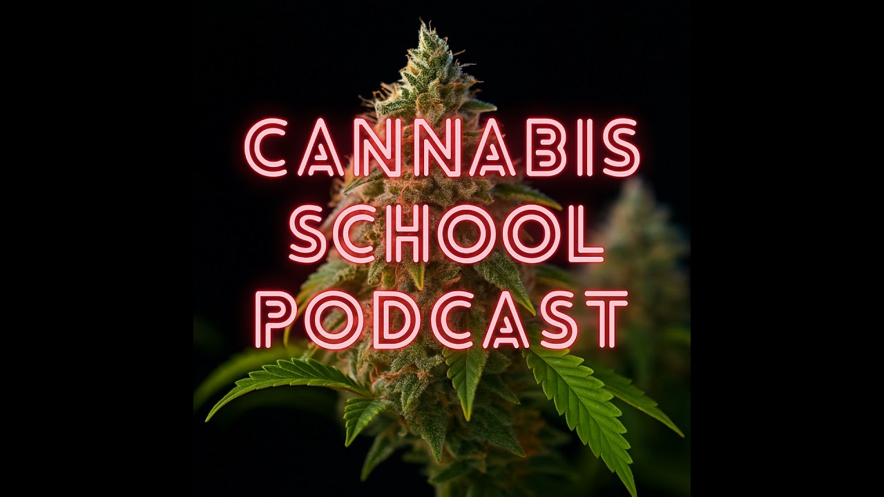 The Real Cost of Cannabis