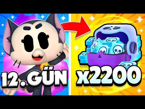 ZENGİN HESABA ÖZEL TEKLİF GELDİ Brawl Stars 