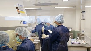 NASAs Vascular Tissue Challenge