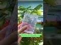 This extendable and width-adjustable hydroponic basket is so useful! #hydroponicbasket #fishkeeping