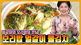 EP48-보리밥 얼갈이 물김치) 봄철 먹기 좋은 산뜻한 얼갈이 물김치와 탱글한 보리밥의 만남!