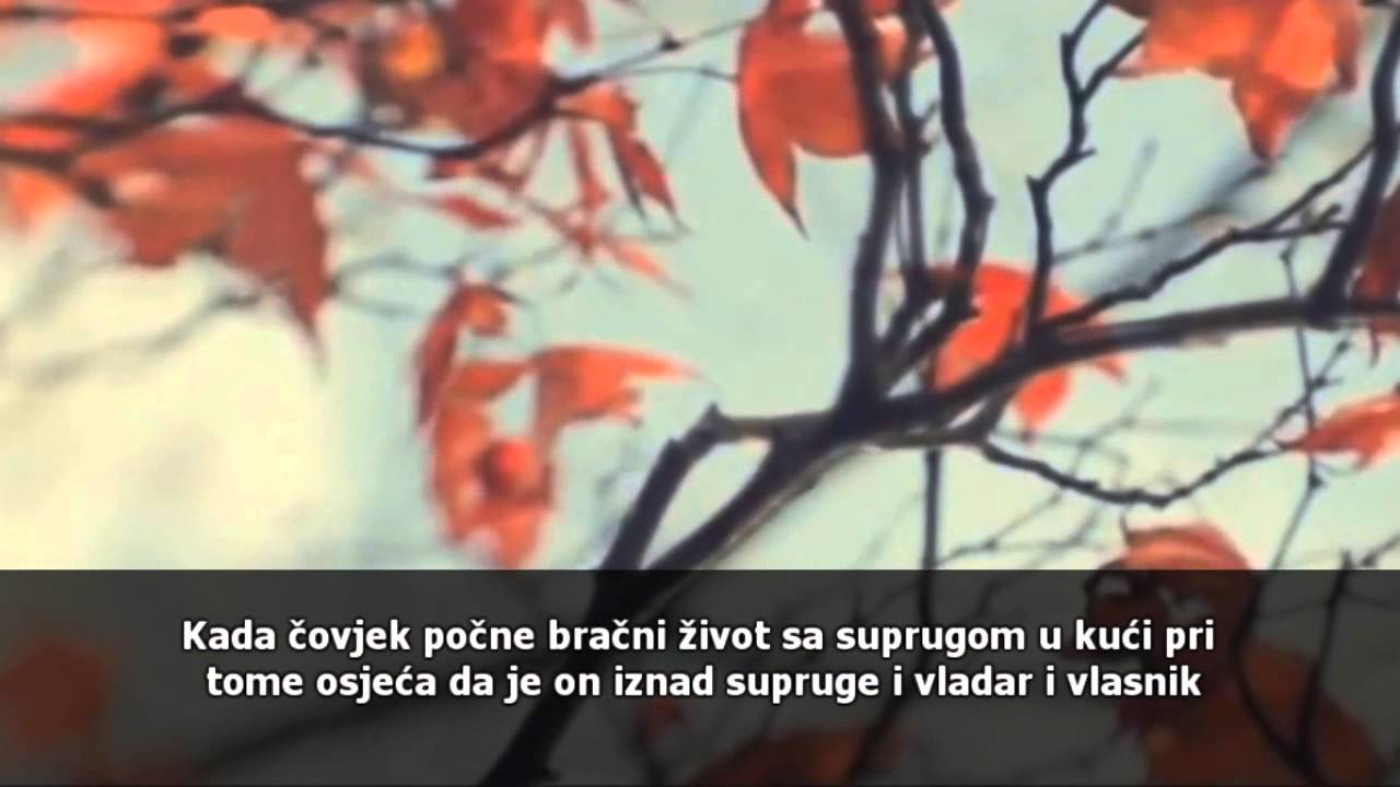 Kako postići bračnu sreću - Šejh Muhammed Mukhtar Šenkiti