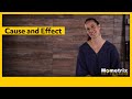 Cause and Effect Quiz