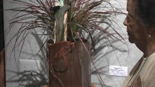 Open Studio Tour 2011
