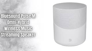 Bluesound Pulse M Review 🎵 Omni-Hybrid Wireless Speaker | Hi-Res Streaming | Alexa &amp; Siri