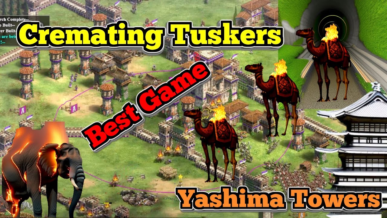 Land Wall on Amazon Tunnel Best Game (Siege Snipes, Yashima Towers, Huge Booms!, Tooth Paste