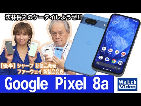 The popular Google Pixel series' popular model, the Google Pixel