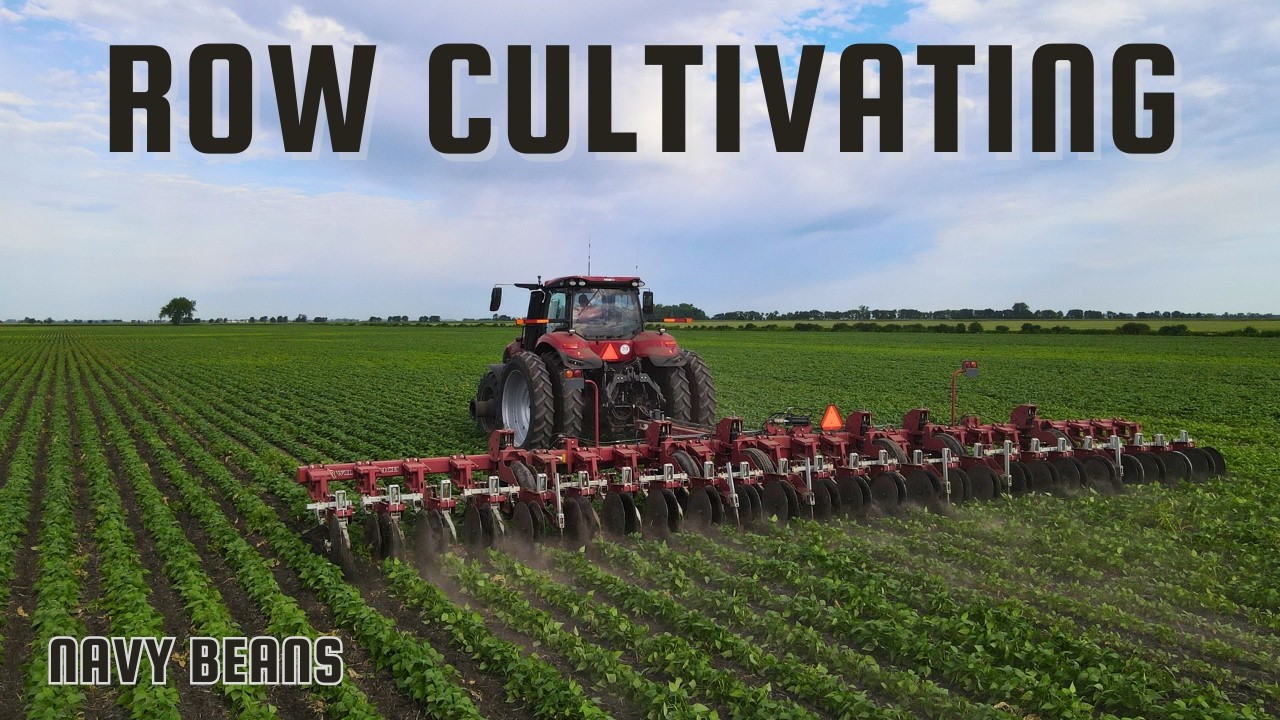 Row Cultivating Like CRAZY