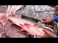 8KG Giant Bighead Fish Chopping with Heavy Cleaver 🐟 Extreme Fish Cutting Action #fishchopping #asmr