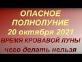 Полнолуние в октябре 2021. Что можно и нельзя делать. Сила луны.Полнолуние 20 октября 2021.