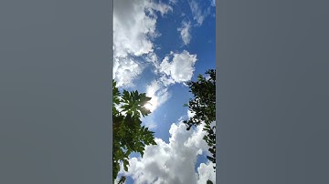 القرآن الكريم #القران  الكريم||Alquran Alkarm