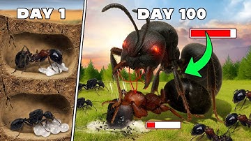 Simulating a Bullet Ant Colony for 30 days 😱 ANTTREK