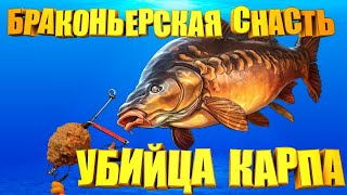 СУПЕР УЛОВИСТАЯ САМОДЕЛЬНАЯ снасть на КАРПА. УБИЙЦА КАРПА практически браконьерская снасть.