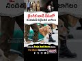లైంగిక దాడి కేసులో నిందితుడి పట్టించిన జాగిలం..! UP Minor Girl Issue | Shorts | Viral | Praja Nadi