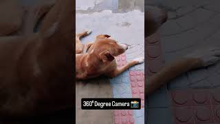 360⁰ Degree Camera 📸#1millionviews #viral #viralvideo #viralchannel #1lakhsubscriber #viralvideo