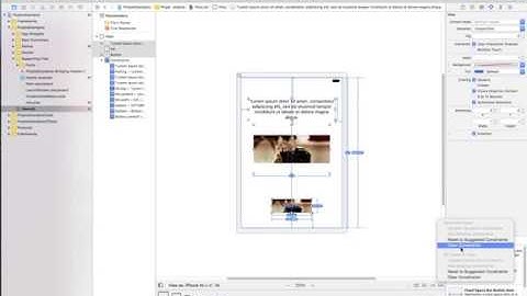 Autoresize autolayout - Xcode 8