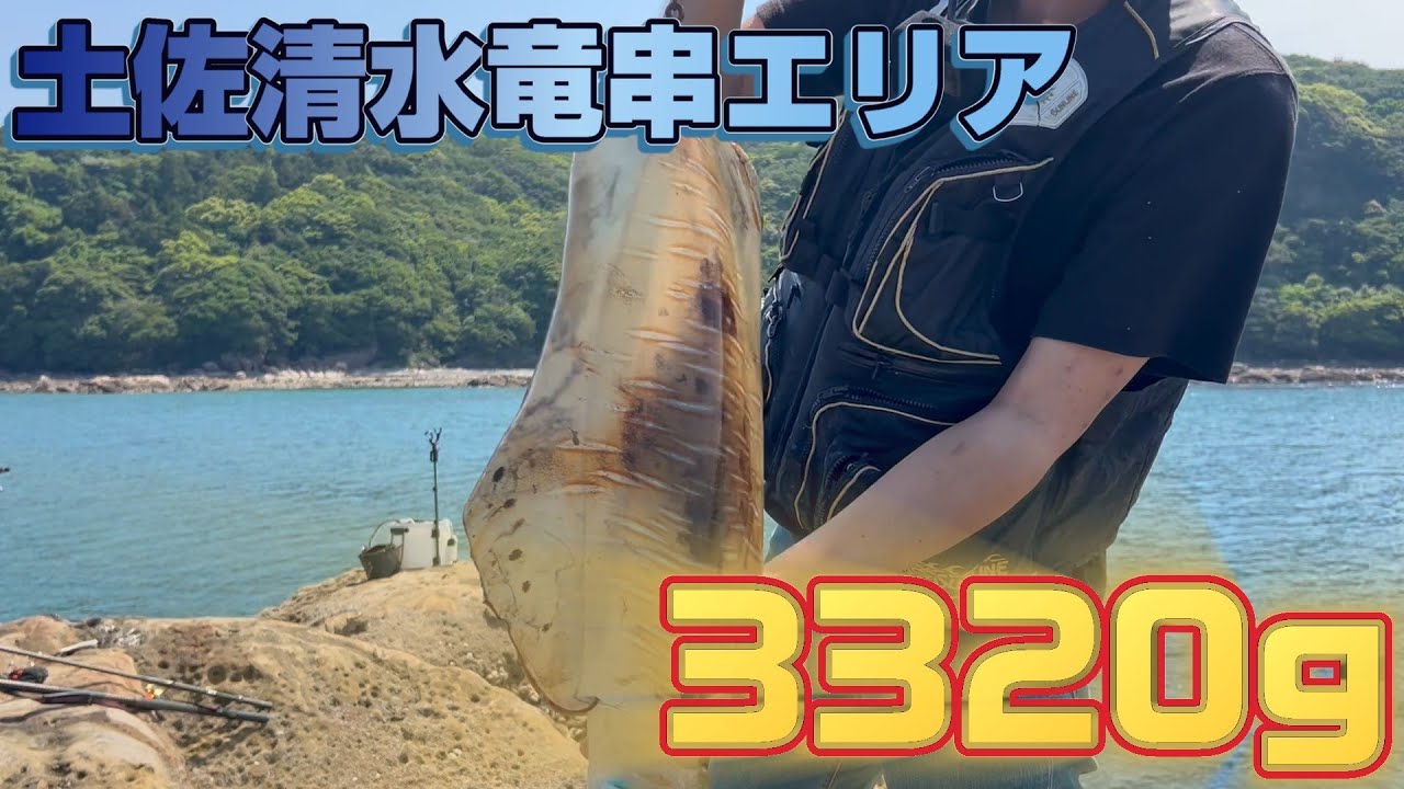 【土佐清水市竜串】僕の楽園をみつけてしまった・・・【ヤエン釣り】