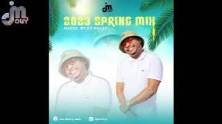 2023 Spring Mix By Dj Molfy