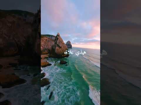 يوم الحبيتك صرت باشا تصميم فيديوهات   