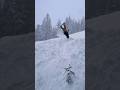 Wasn’t expecting to land this 😤😤#snow #snowboard #flip #backflip #aura #tricks #tuff #ai #gooners