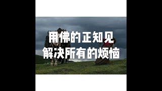 201809 用佛的正知见解决所有的烦恼50041