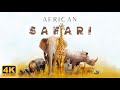 African Safari 4K • Scenic Wildlife Film With African Music