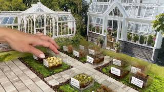 Growing microgreens for a miniature kitchen | Miniature kitchen set ASMR | Miniature garden | Food🍱