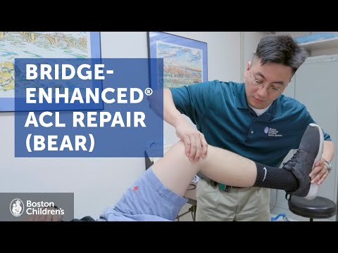 Bridge-Enhanced ACL Repair (BEAR) | Boston Children&#39;s Hospital