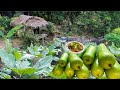 Another vegetable harvest from my garden  bottle gourd simple life in the philippine countryside